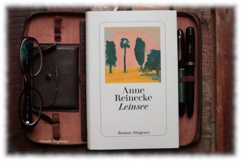 Beitragsbild für die Rezension zu »Leinsee« von Anne Reinecke